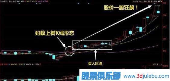 炒股出現(xiàn)的“螞蟻上樹(shù)”形態(tài)，記住趕緊跟上
