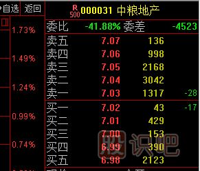 股票盤口掛單的大壓單以及大托單解讀