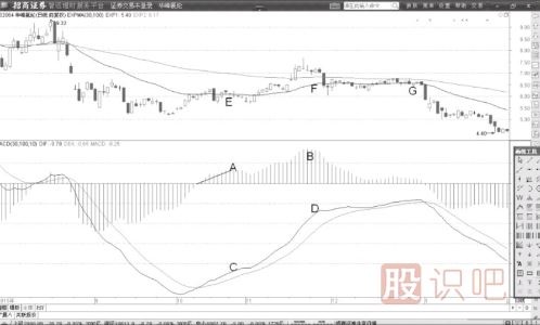 MACD指標(biāo)中的柱子是怎么看的？
